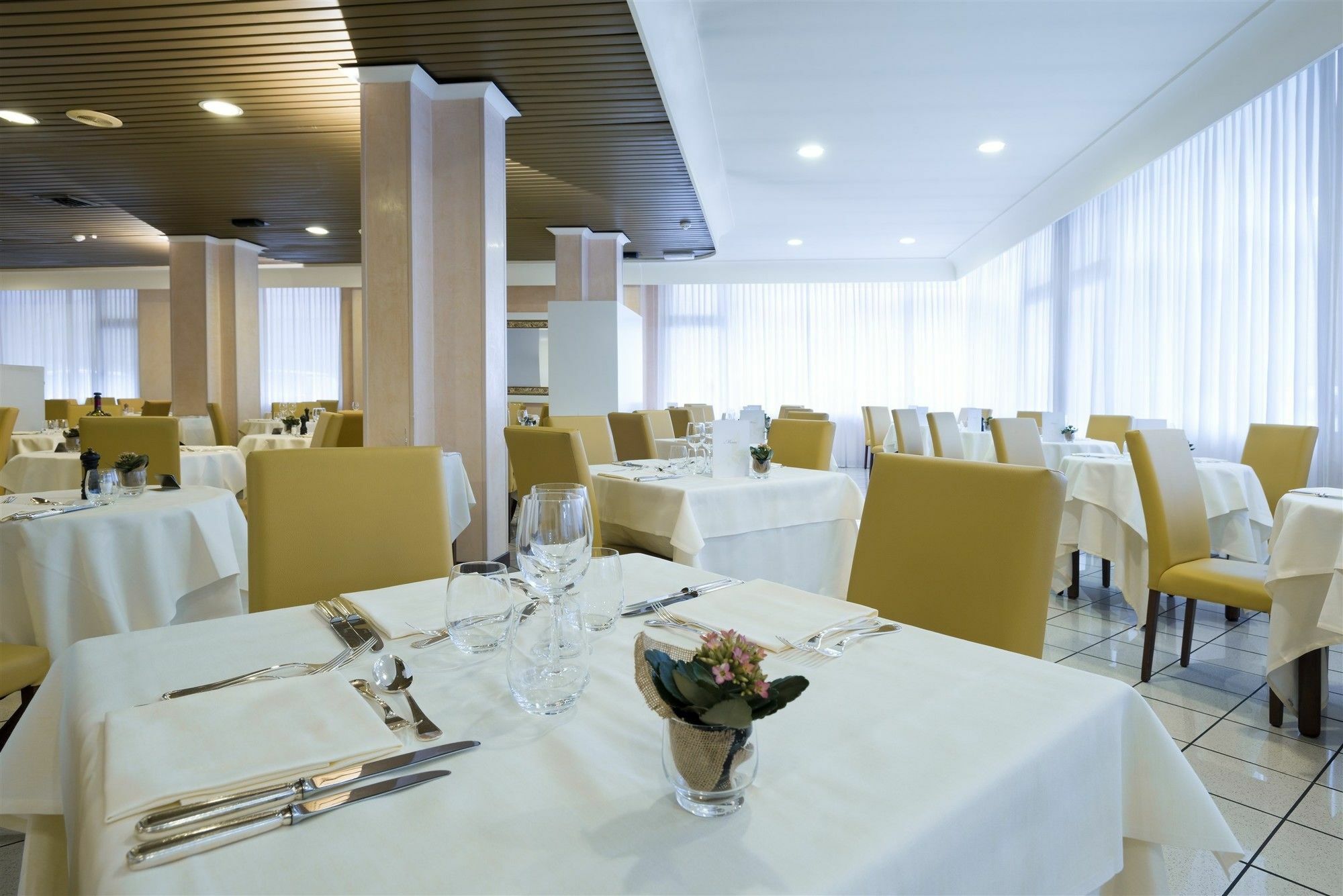 Hotel Terme Olympia 몬테그로또테르메 외부 사진